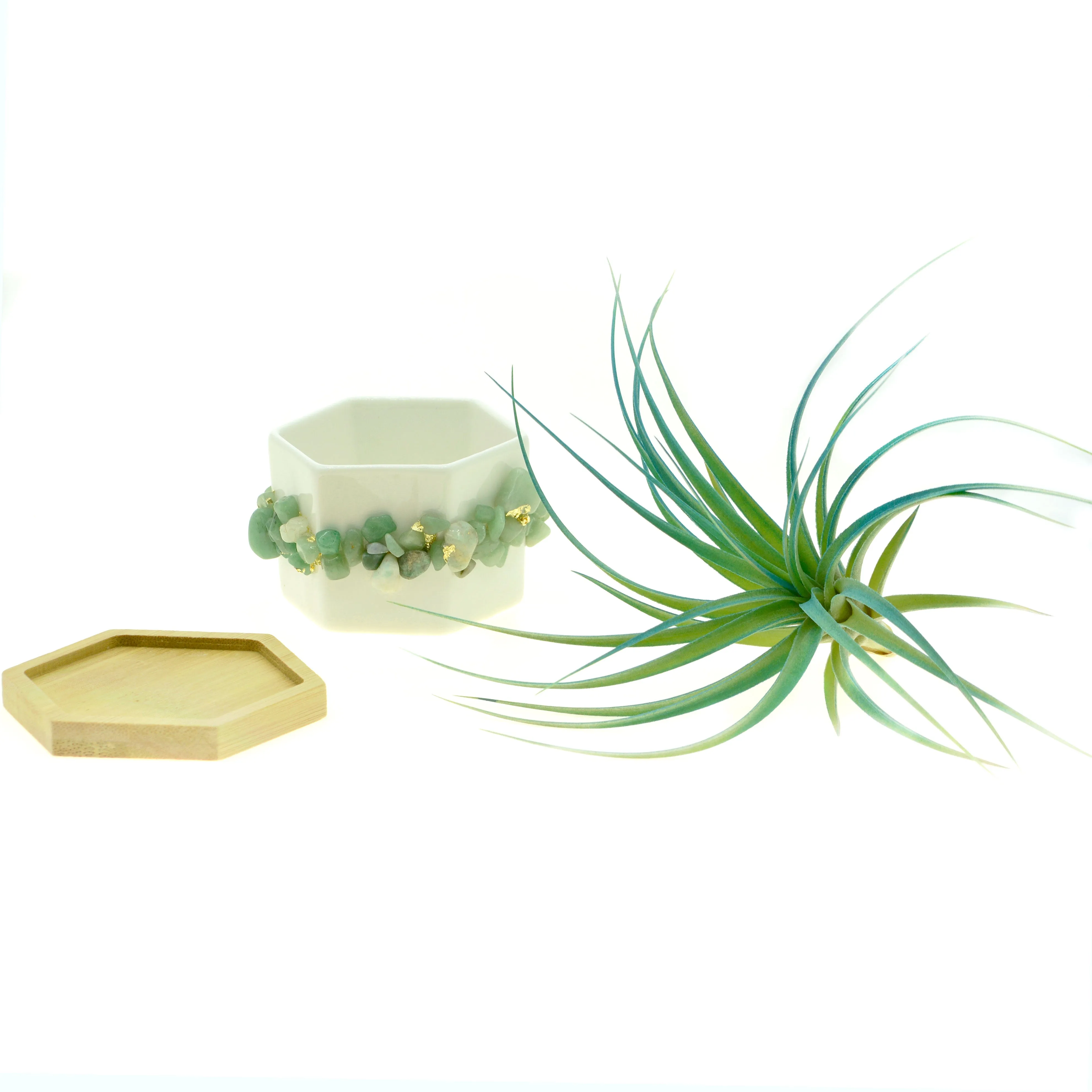 Green Prehnite Gemstone Planter   Air Plant