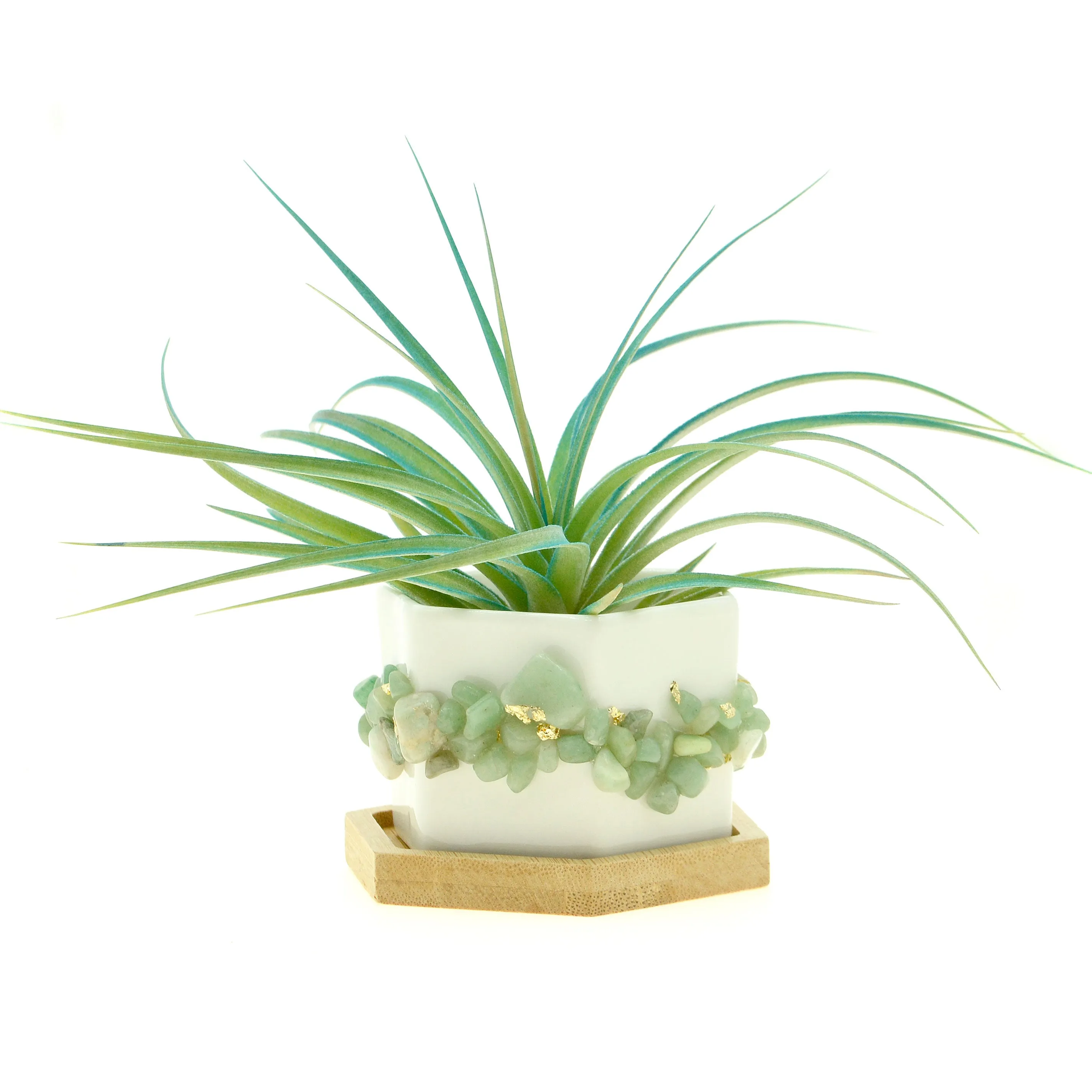 Green Prehnite Gemstone Planter   Air Plant