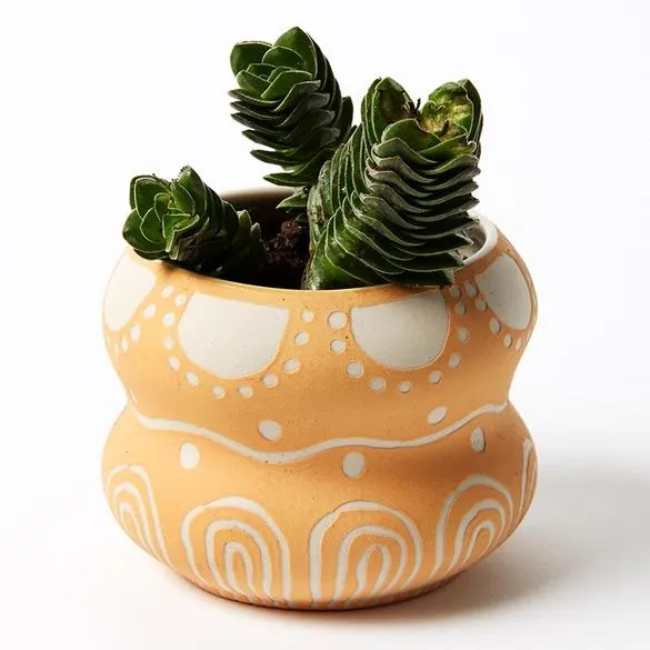 Pocket Planter Double (Multiple Colors)