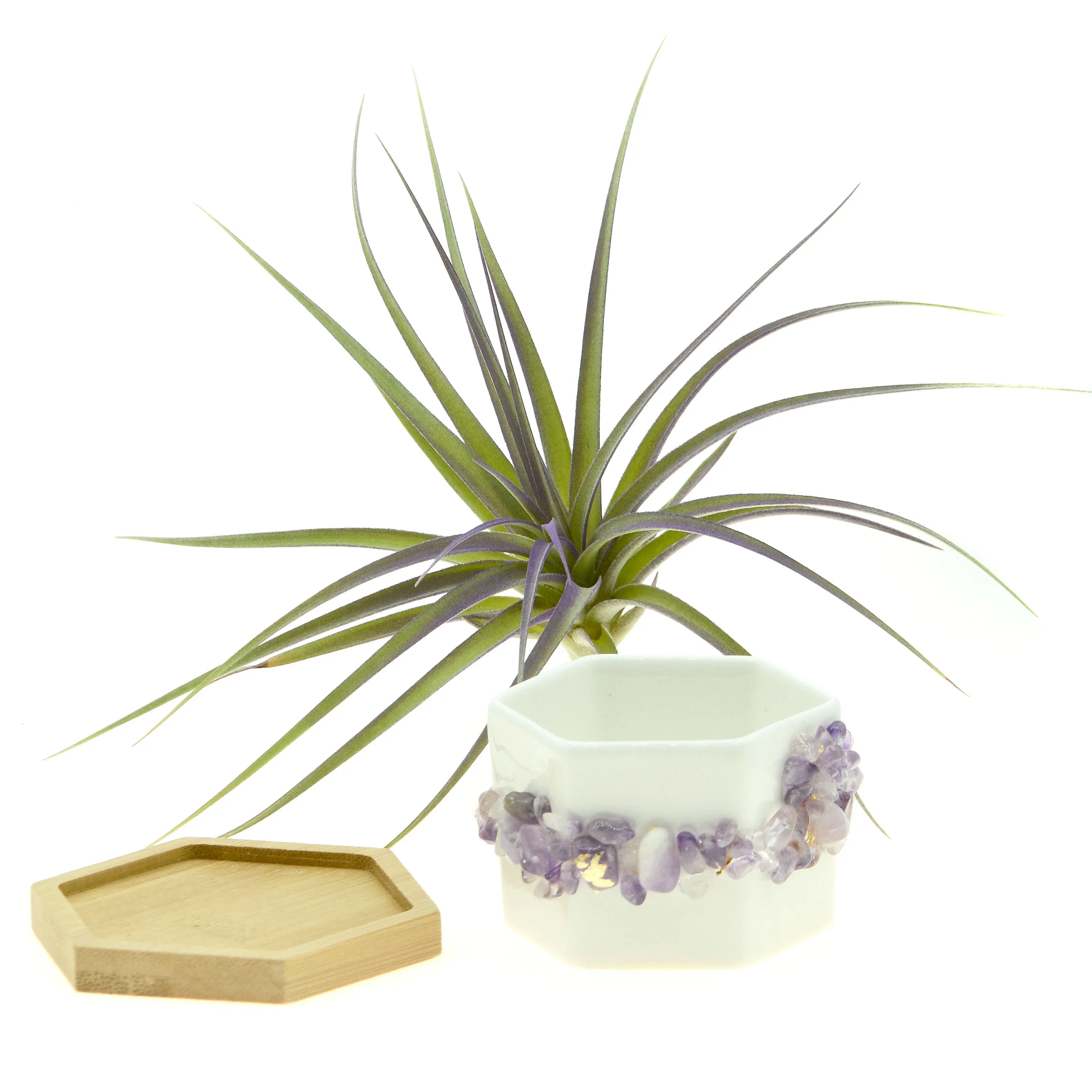 Purple Amethyst Gemstone Planter   Air Plant