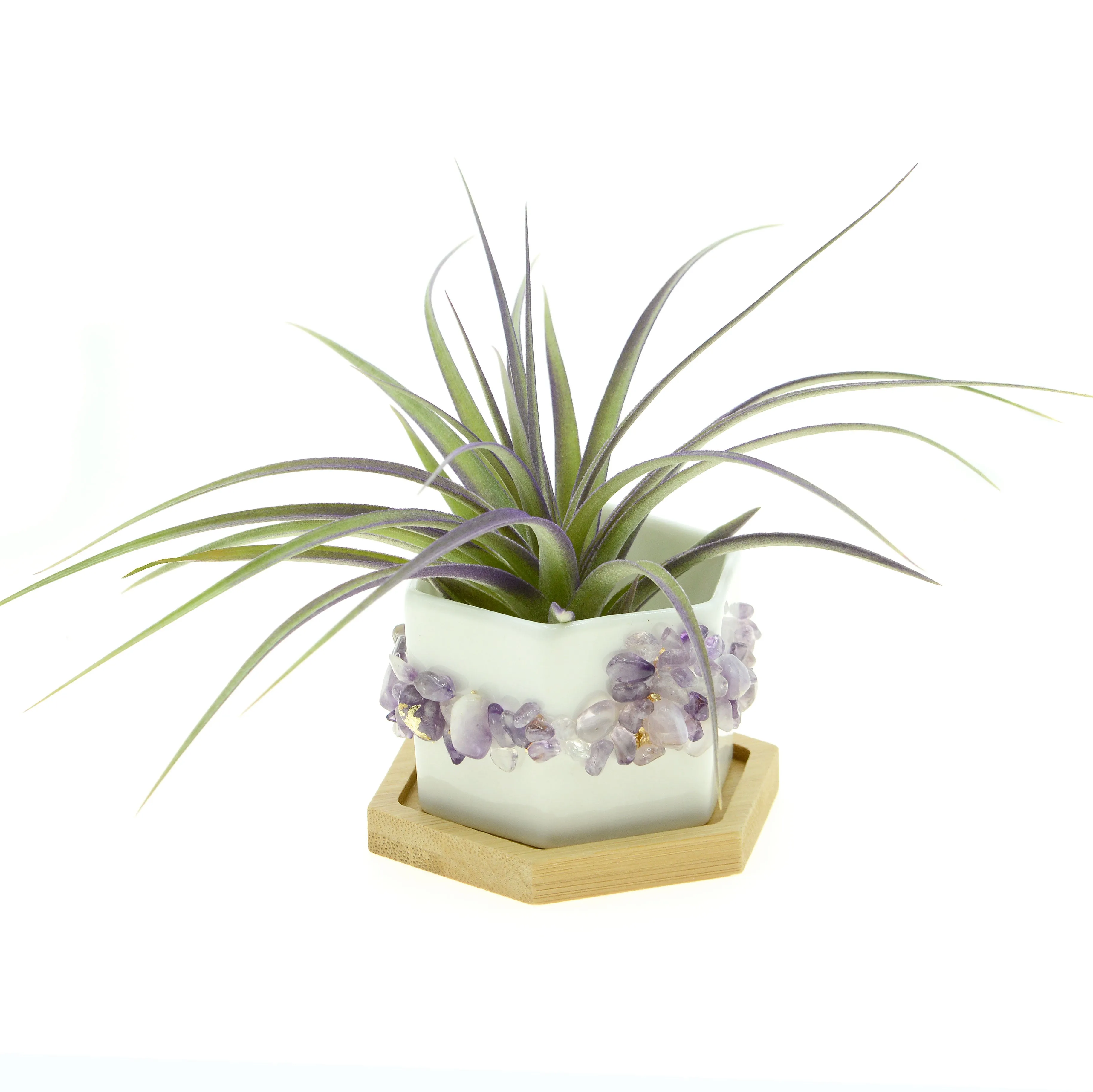 Purple Amethyst Gemstone Planter   Air Plant